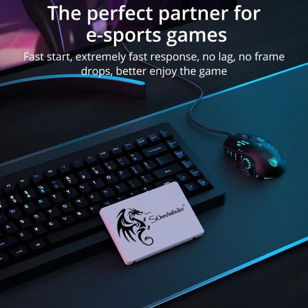 سرعة فائقة! 🚀 SomnAmbulist SSD لأجهزتك